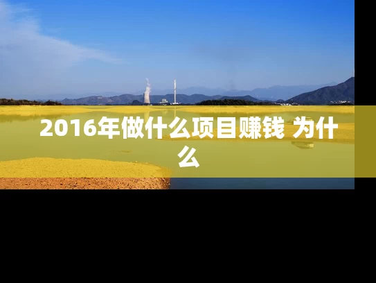 2016年做什么项目赚钱 为什么