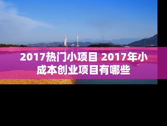 2017热门小项目 2017年小成本创业项目有哪些