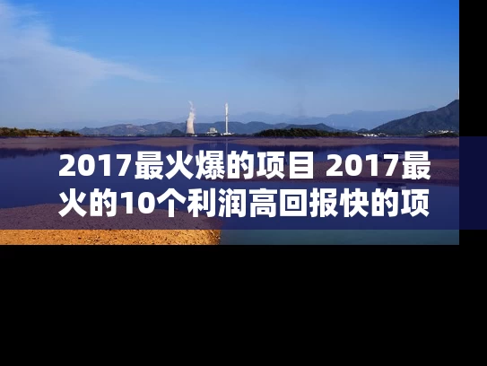 2017最火爆的项目 2017最火的10个利润高回报快的项目
