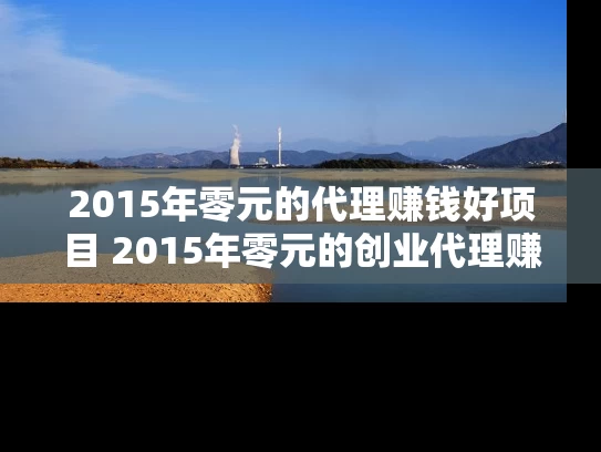 2015年零元的代理赚钱好项目 2015年零元的创业代理赚钱吗