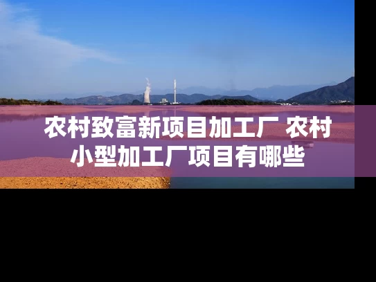 农村致富新项目加工厂 农村小型加工厂项目有哪些