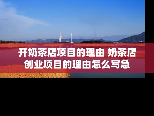 开奶茶店项目的理由 奶茶店创业项目的理由怎么写急
