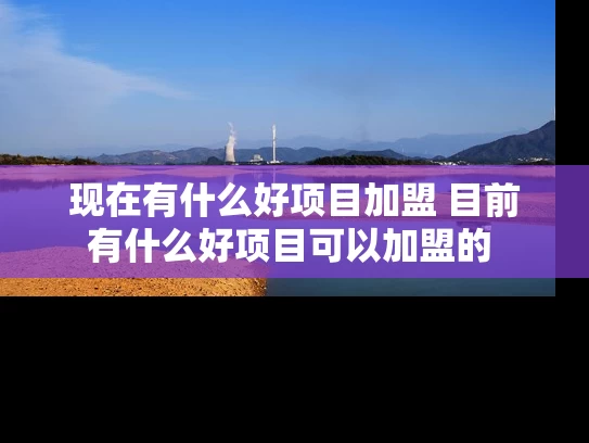 现在有什么好项目加盟 目前有什么好项目可以加盟的 