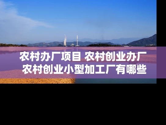 农村办厂项目 农村创业办厂 农村创业小型加工厂有哪些