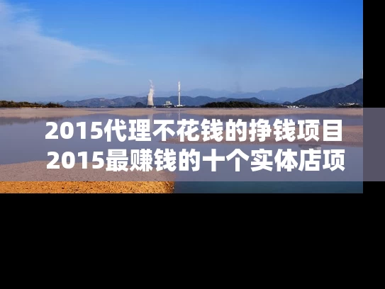 2015代理不花钱的挣钱项目 2015最赚钱的十个实体店项目