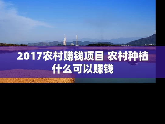 2017农村赚钱项目 农村种植什么可以赚钱