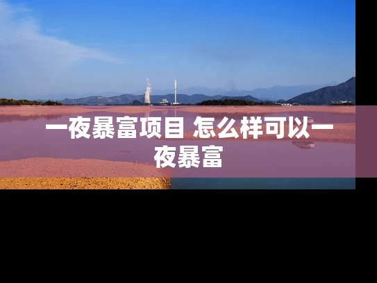 一夜暴富项目 怎么样可以一夜暴富