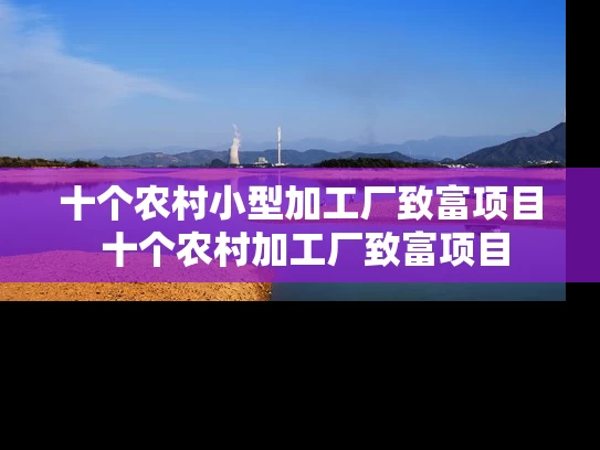 十个农村小型加工厂致富项目 十个农村加工厂致富项目 十个农村小型加工厂致富项目 十个农村加工厂致富项目
