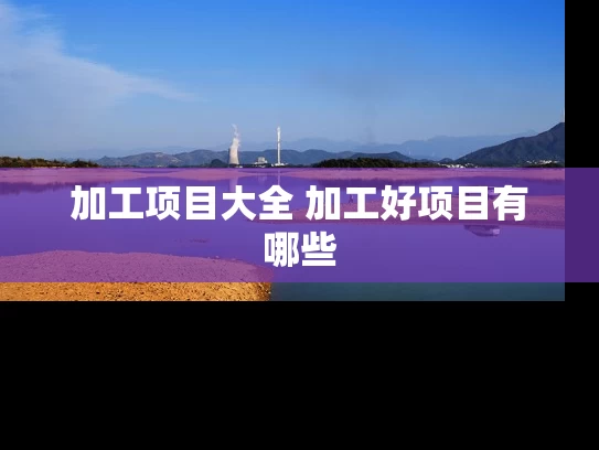 加工项目大全 加工好项目有哪些