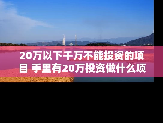 20万以下千万不能投资的项目 手里有20万投资做什么项目