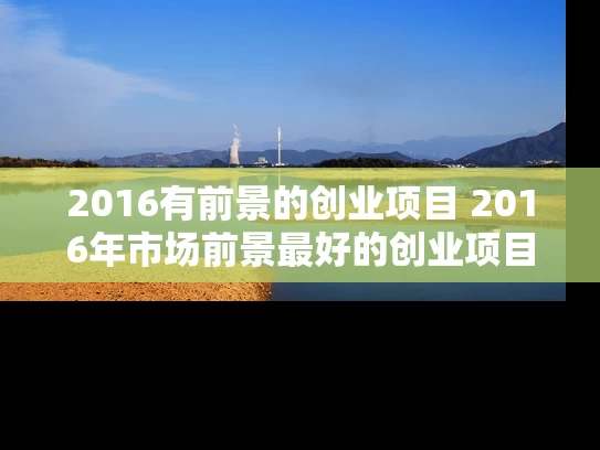 2016有前景的创业项目 2016年市场前景最好的创业项目 2016有前景的创业项目 2016年市场前景最好的创业项目