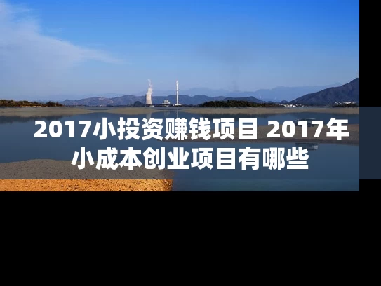 2017小投资赚钱项目 2017年小成本创业项目有哪些