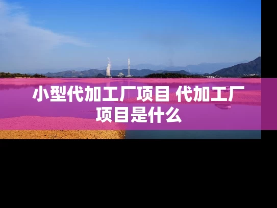 小型代加工厂项目 代加工厂项目是什么