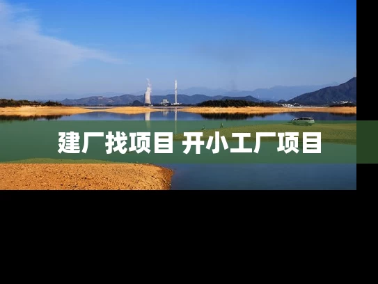 建厂找项目 开小工厂项目