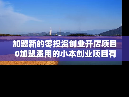 加盟新的零投资创业开店项目 0加盟费用的小本创业项目有哪些