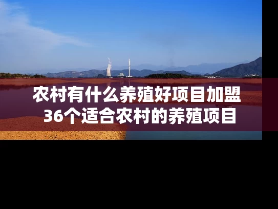 农村有什么养殖好项目加盟 36个适合农村的养殖项目 农村有什么养殖好项目加盟 36个适合农村的养殖项目