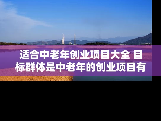 适合中老年创业项目大全 目标群体是中老年的创业项目有哪些