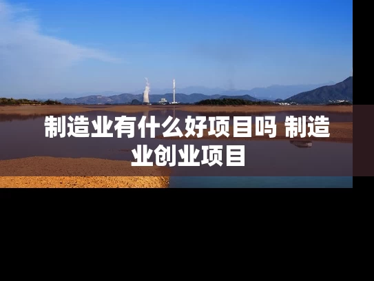 制造业有什么好项目吗 制造业创业项目