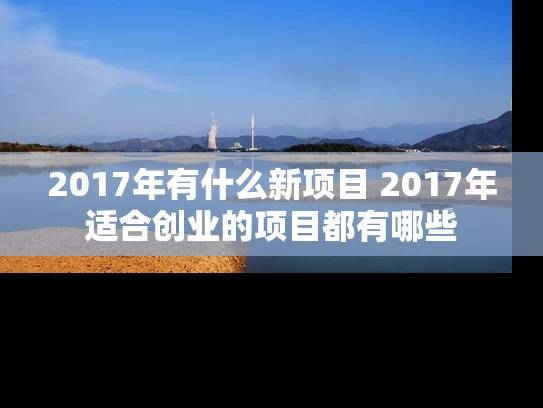 2017年有什么新项目 2017年适合创业的项目都有哪些
