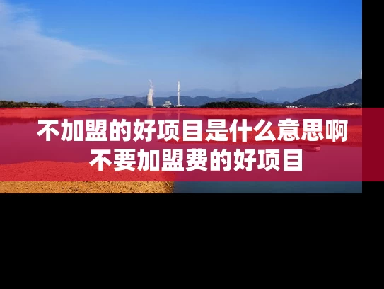 不加盟的好项目是什么意思啊 不要加盟费的好项目