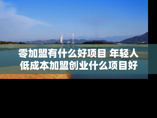 零加盟有什么好项目 年轻人低成本加盟创业什么项目好