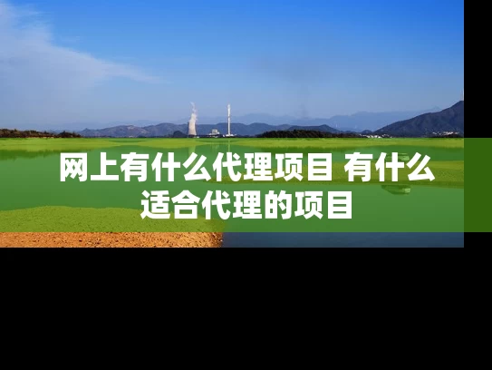 网上有什么代理项目 有什么适合代理的项目 网上有什么代理项目 有什么适合代理的项目