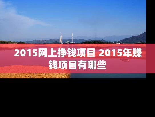 2015网上挣钱项目 2015年赚钱项目有哪些