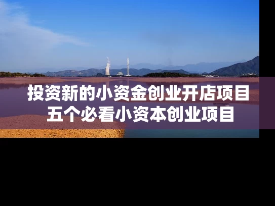 投资新的小资金创业开店项目 五个必看小资本创业项目