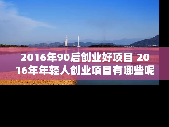 2016年90后创业好项目 2016年年轻人创业项目有哪些呢 2016年90后创业好项目 2016年年轻人创业项目有哪些呢