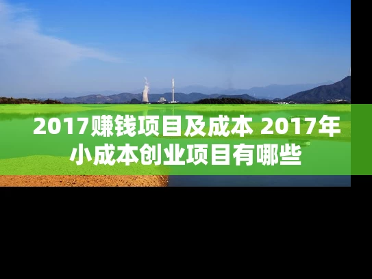 2017赚钱项目及成本 2017年小成本创业项目有哪些 2017赚钱项目及成本 2017年小成本创业项目有哪些