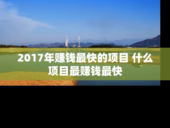 2017年赚钱最快的项目 什么项目最赚钱最快 2017年赚钱最快的项目 什么项目最赚钱最快