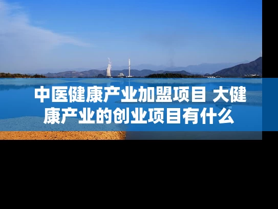 中医健康产业加盟项目 大健康产业的创业项目有什么