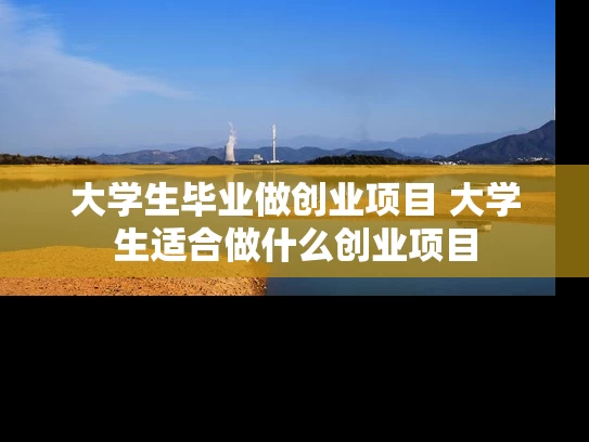 大学生毕业做创业项目 大学生适合做什么创业项目