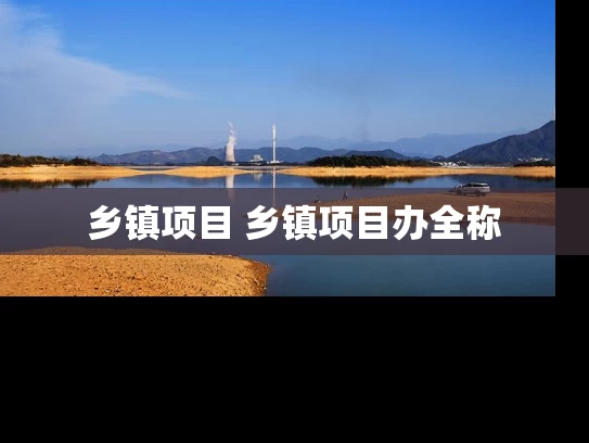 乡镇项目 乡镇项目办全称