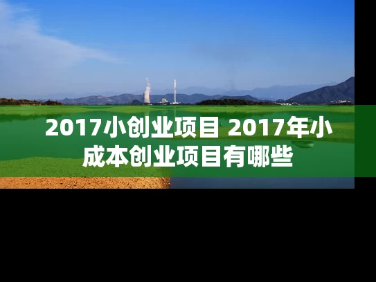 2017小创业项目 2017年小成本创业项目有哪些