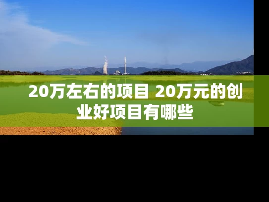 20万左右的项目 20万元的创业好项目有哪些