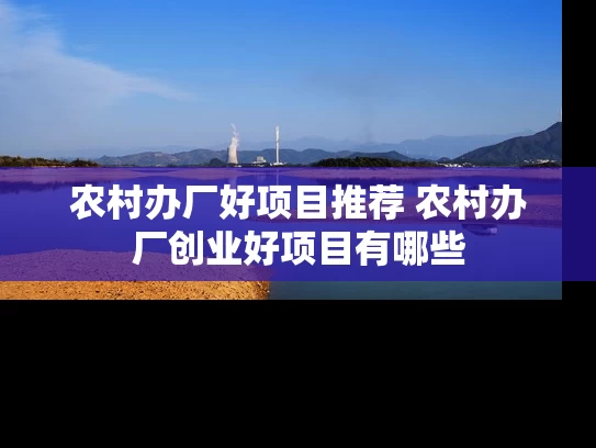 农村办厂好项目推荐 农村办厂创业好项目有哪些
