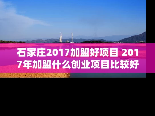 石家庄2017加盟好项目 2017年加盟什么创业项目比较好
