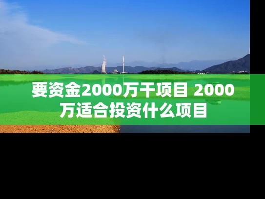 要资金2000万干项目 2000万适合投资什么项目 要资金2000万干项目 2000万适合投资什么项目