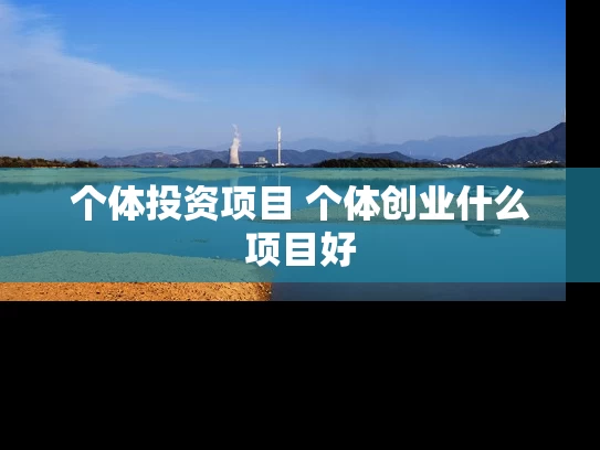 个体投资项目 个体创业什么项目好