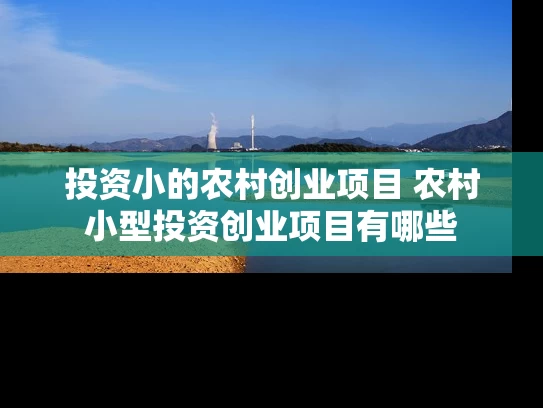 投资小的农村创业项目 农村小型投资创业项目有哪些