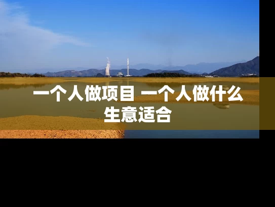 一个人做项目 一个人做什么生意适合 一个人做项目 一个人做什么生意适合