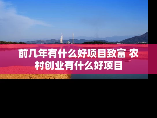 前几年有什么好项目致富 农村创业有什么好项目 前几年有什么好项目致富 农村创业有什么好项目