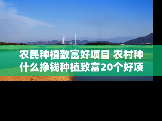 农民种植致富好项目 农村种什么挣钱种植致富20个好项目 农民种植致富好项目 农村种什么挣钱种植致富20个好项目