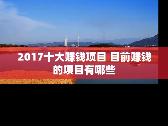 2017十大赚钱项目 目前赚钱的项目有哪些
