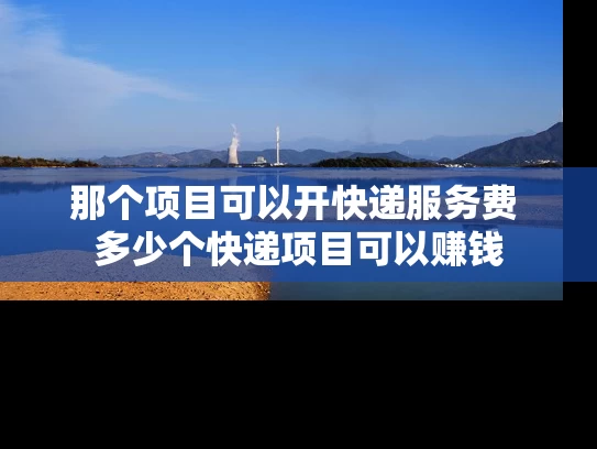 那个项目可以开快递服务费 多少个快递项目可以赚钱