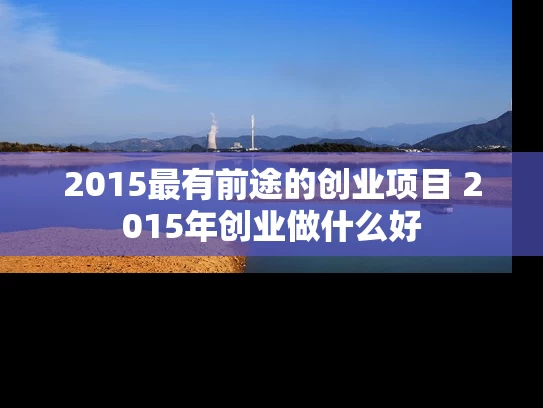 2015最有前途的创业项目 2015年创业做什么好