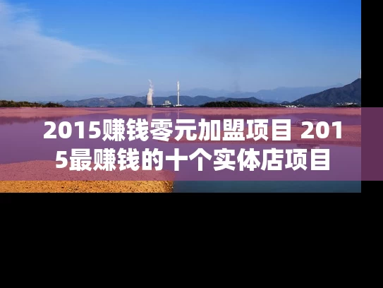 2015赚钱零元加盟项目 2015最赚钱的十个实体店项目