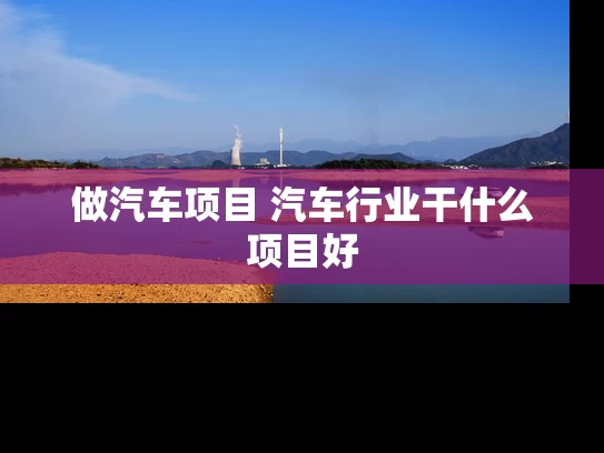 做汽车项目 汽车行业干什么项目好