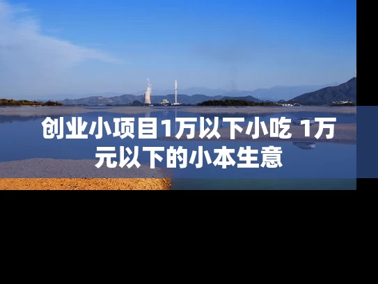 创业小项目1万以下小吃 1万元以下的小本生意